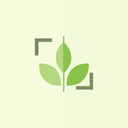 PlantID: Plant Identifier