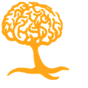 تست شخصیت تعصبات منفی
