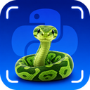 Learn Python: Code with AI