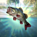 Bobber Fishing - fishing game