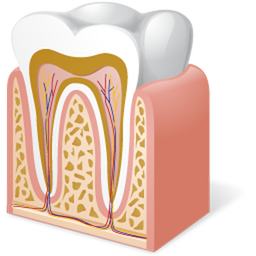 سلامت دندان و دهان