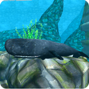 Whale Sim - Sea Eater