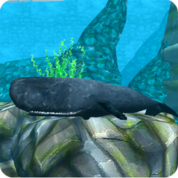 Whale Sim - Sea Eater