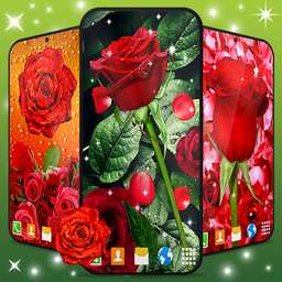 3D Red Rose Live Wallpaper