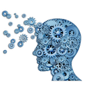 Brain