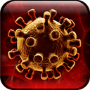 corona virus