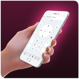 TV Remote for Hisense (IR)