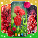 Elegant RedRose Live Wallpaper