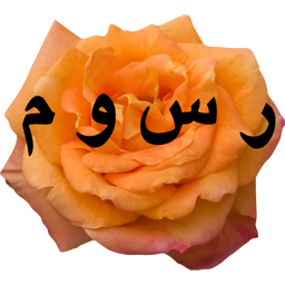 rosoom