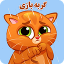بازی گربه