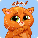 بازی گربه