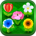 Bouquets - Flower Garden Brainteaser Game