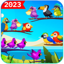 Color Birds Games