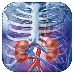 سالم ماندن کلیه