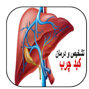 تشخیص و درمان کبد چرب