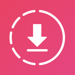 Video Downloader - Story Saver