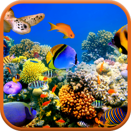 Sea Life 3D Video Wallpaper