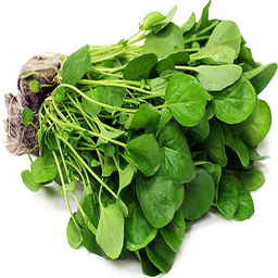 Watercress