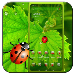 Ladybug Leaf Theme