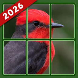 Jigsparkle Puzzle: Slide Fun
