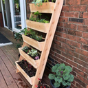 Vertical Garden