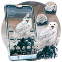 Snowy Owl Launcher Theme