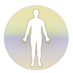 Homoeopathic Repertorium