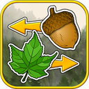 Sort the Forest