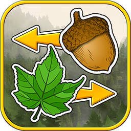 Sort the Forest