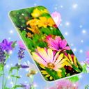 Spring Flowers Live Wallpaper