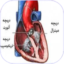 بیماری های دریچه قلب