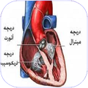 بیماری های دریچه قلب