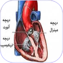 بیماری های دریچه قلب