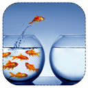 تغییر در زندگی