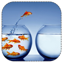تغییر در زندگی