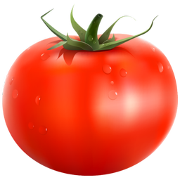 تهیه غذا