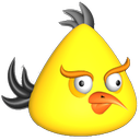 Focus Test