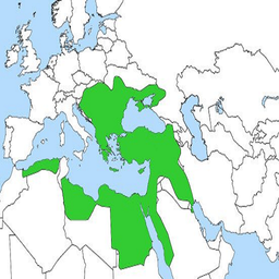 تاریخ امپراطوری عثمانی