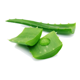 طب سنتی