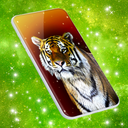 Tiger Live Wallpapers