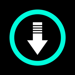Downloader for TT No Watermark
