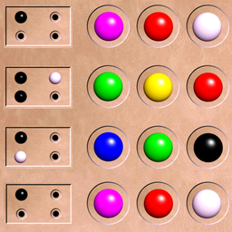 Code Breaker: Break the secret