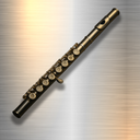 Professional Flute