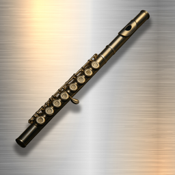 Professional Flute