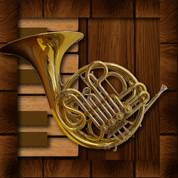 Professional French Horn