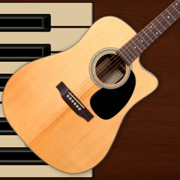 Professional Guitar