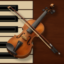 Professional Violin