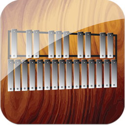 Professional Xylophone