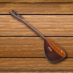 Baglama Pro