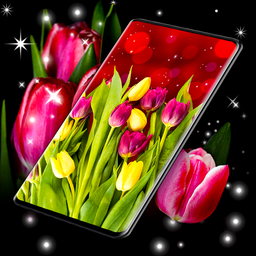 Spring Tulip Live Wallpaper